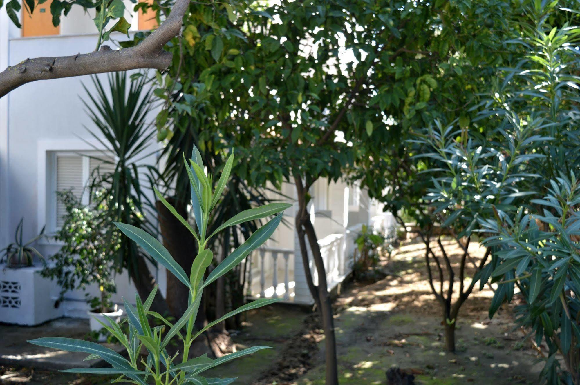 Paradise Beach Camping Platys Gialos  Esterno foto